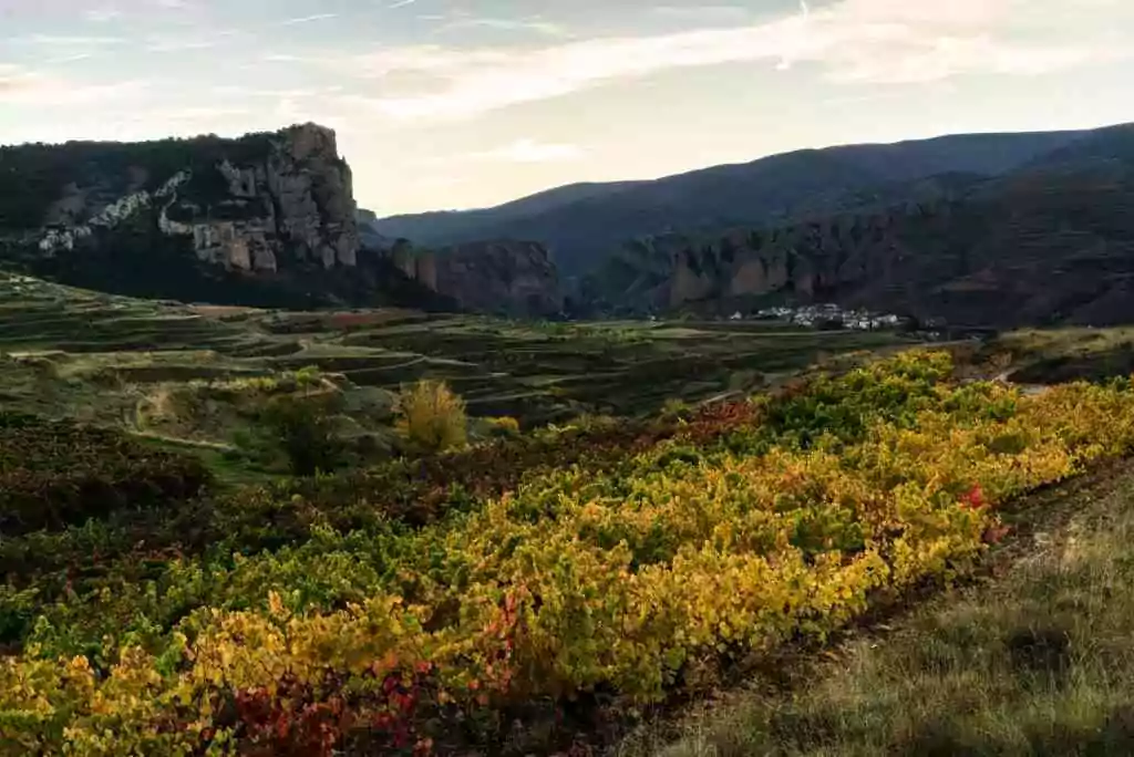 panoramico 5 2