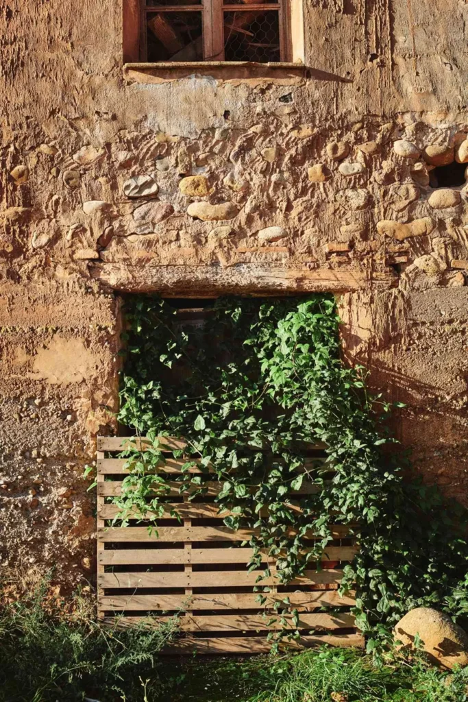 majuelos-window